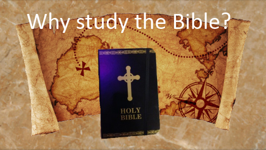 WhyStudyBible-Large